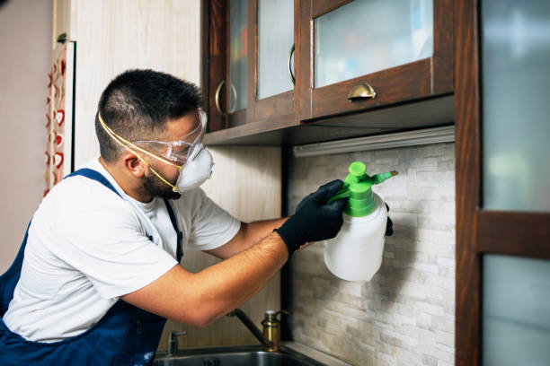 Best Pest Inspection Near Me  in New Hope, MN