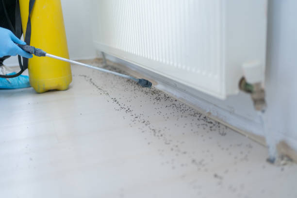 Best Pest Control for Businesses  in New Hope, MN