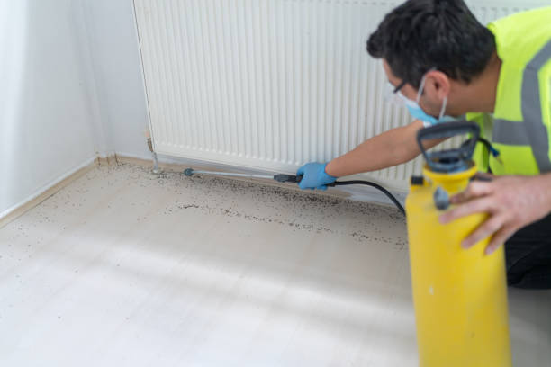 Best Pest Control for Homes  in New Hope, MN
